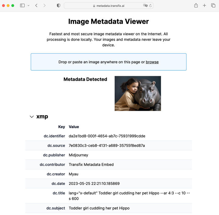 Screenshot of the metadata.transfix.ai site with metadata for the image of a girl with her pet hippo